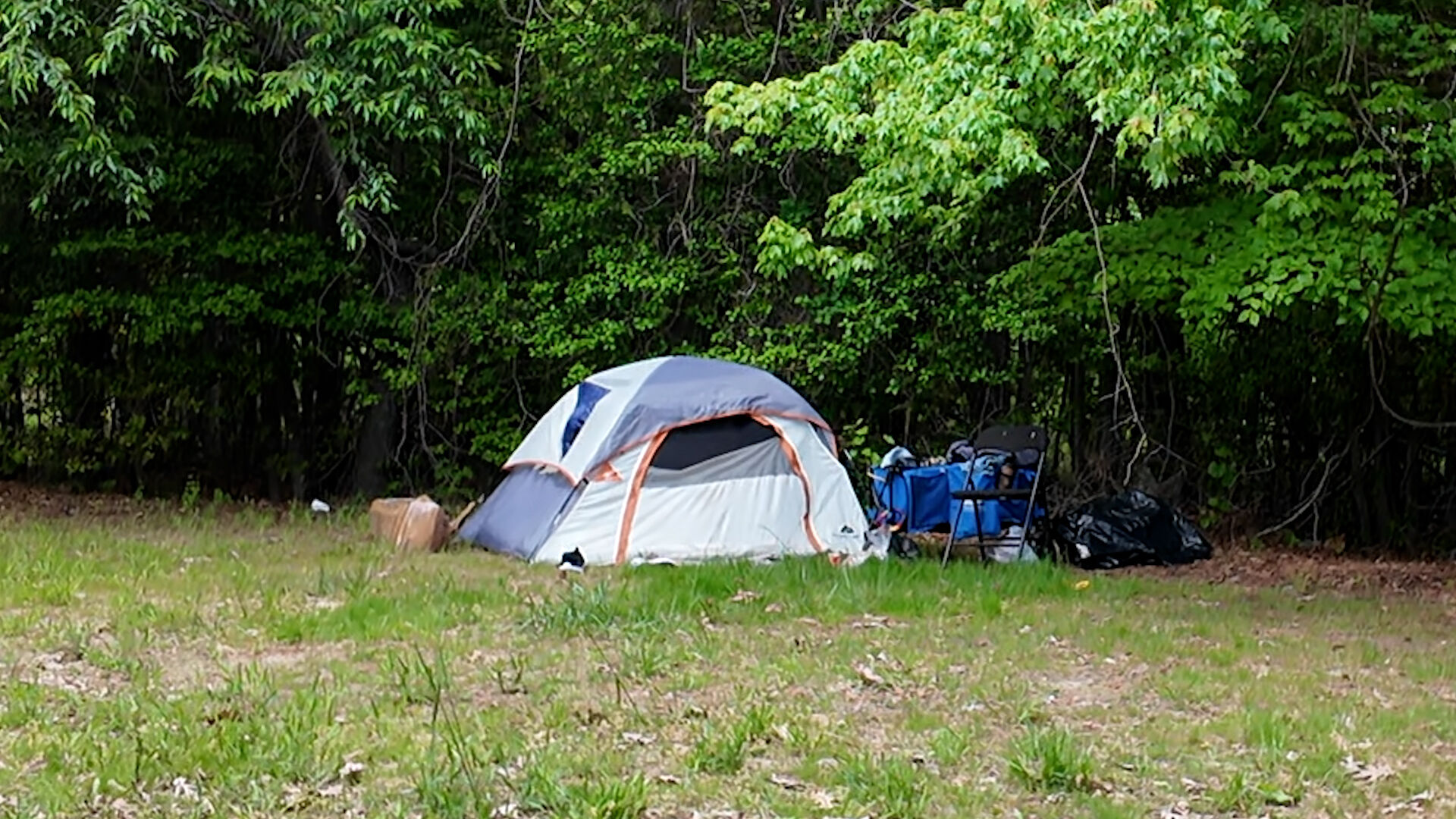 Recommendations for Tharros, a homeless village, moving forward to Sussex County Council